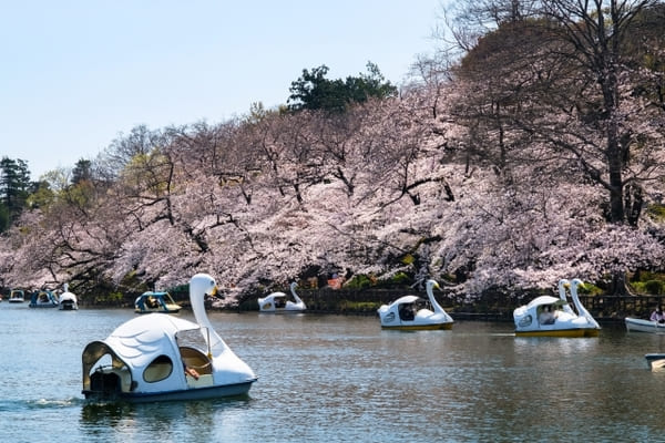 井の頭恩賜公園