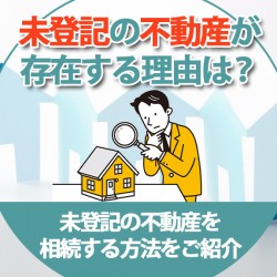 未登記不動産